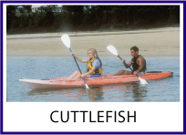 Cuttlefish 2 person sit on top kayak by Australis